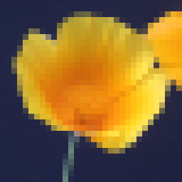 Low-resolution poppy enlarged four times